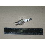   Bosch WR8BCE 0 242 229 881 (4 )