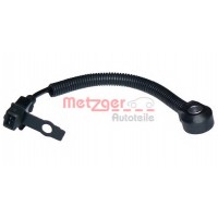   METZGER 0907021