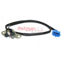     METZGER 0903043