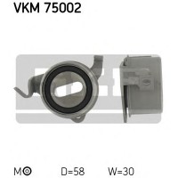    SKF VKM 75002