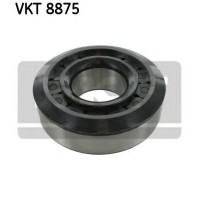 ϳ    SKF VKT 8875