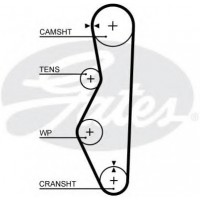  9,51111057   GATES 5521XS