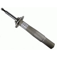   SACHS 310481