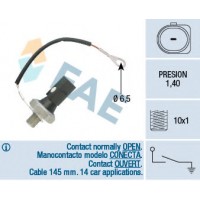    FAE 12896