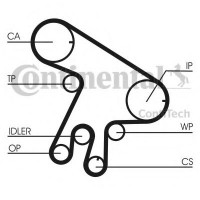   ( +  + ) CONTITECH CT1043WP1