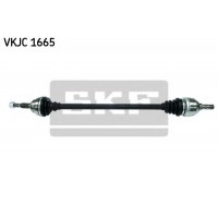   SKF VKJC1665