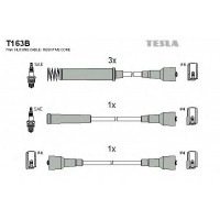    TESLA T163B