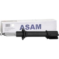  ASAM 30123