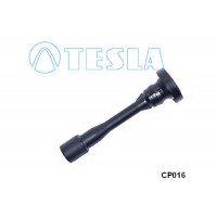    TESLA CP016