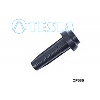    TESLA CP069