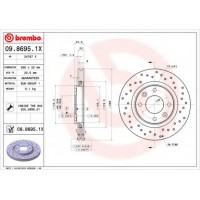   BREMBO 09.8695.1X