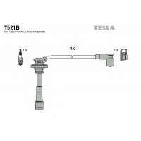    TESLA T521B