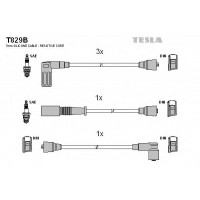    TESLA T829B