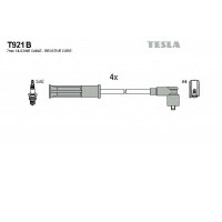    TESLA T921B