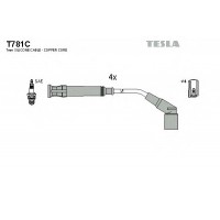    TESLA T781C