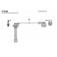    TESLA T181B