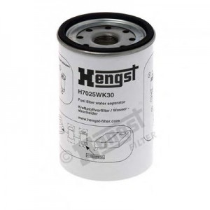   Hengst H7025WK30