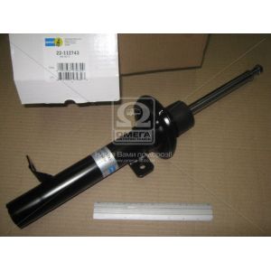   Bilstein 19-029313  B4