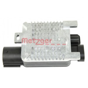     METZGER 0917038