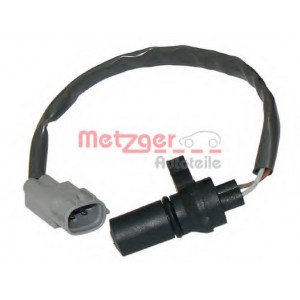  ,   METZGER 0909065