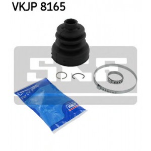    +  SKF VKJP 8165