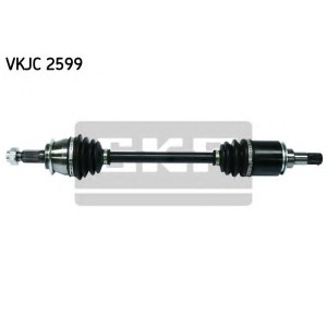  SKF VKJC 2599