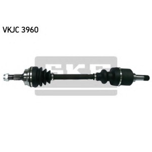  SKF VKJC 3960