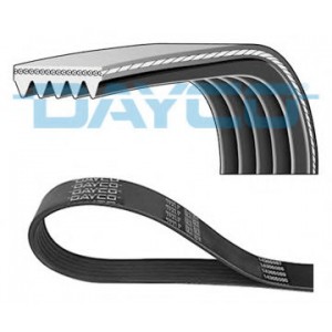   DAYCO 5PK1025