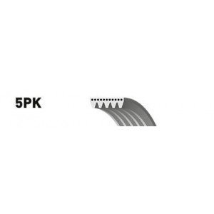   GATES 5PK1550