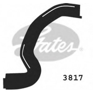   GATES 3817