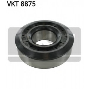 ϳ    SKF VKT 8875