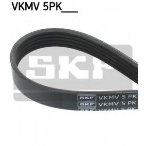   SKF VKMV 5PK1300