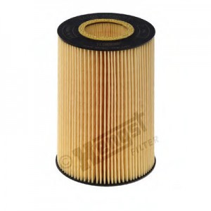 Գ  HENGST FILTER E416H D86