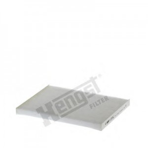   HENGST FILTER E2976LI