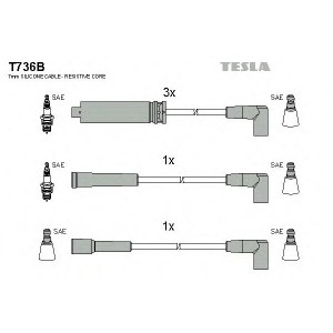    TESLA T736B