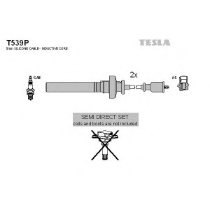    TESLA T539P