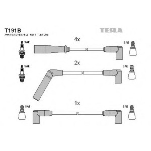    TESLA T191B