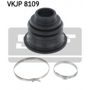    SKF VKJP 8109