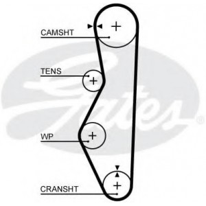  9,51111057   GATES 5521XS