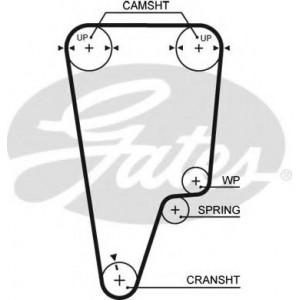    Z=125 GATES 5505XS