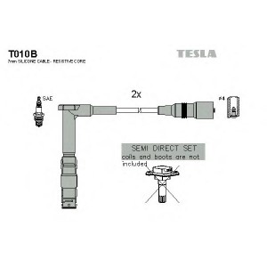    TESLA T010B