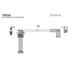    TESLA T965G