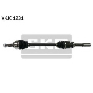  SKF VKJC 1231