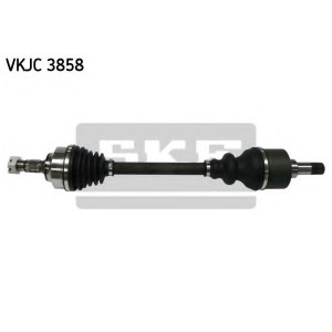 ϳ SKF VKJC 3858