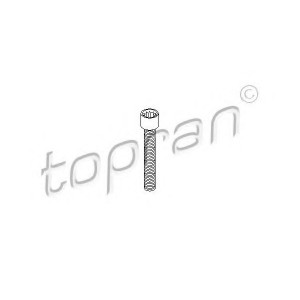  TOPRAN 104306