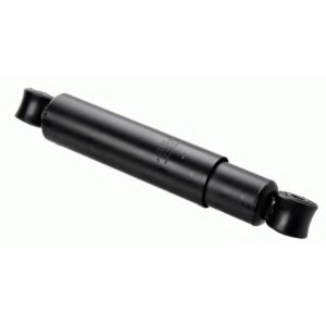   SACHS 290007
