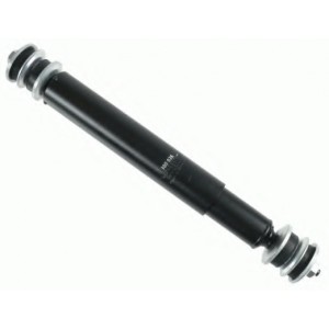   SACHS 300026