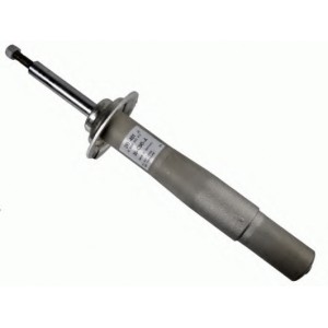   SACHS 310481