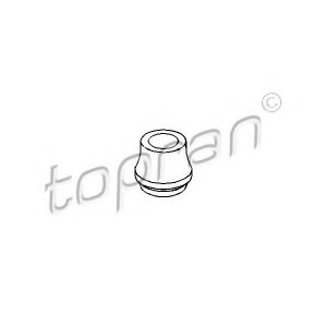   TOPRAN 100290