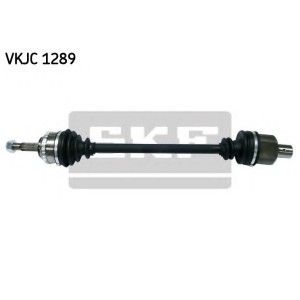   SKF VKJC1289